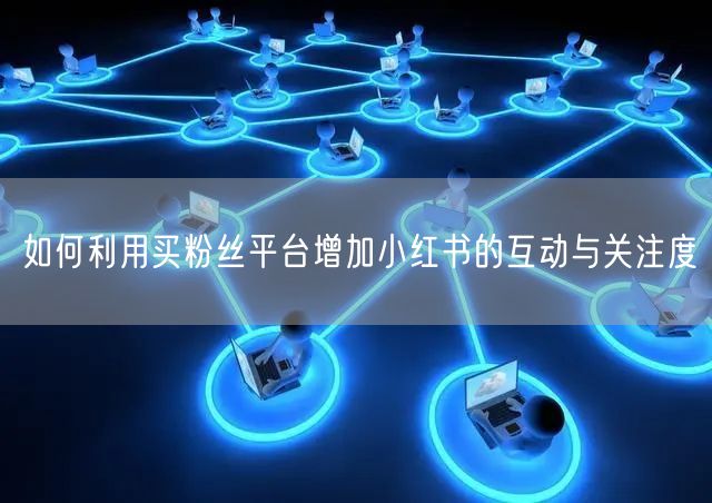 如何利用买粉丝平台增加小红书的互动与关注度