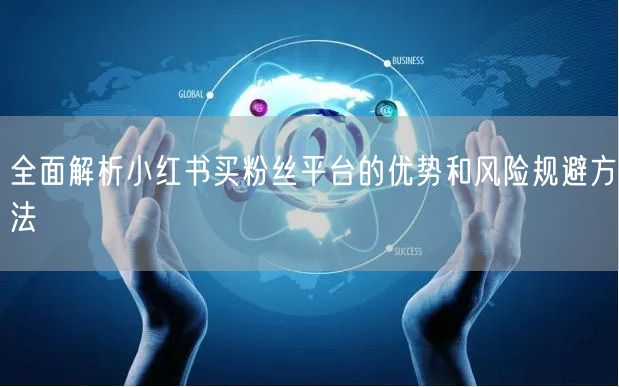全面解析小红书买粉丝平台的优势和风险规避方法