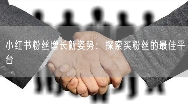 小红书粉丝增长新姿势：探索买粉丝的最佳平台