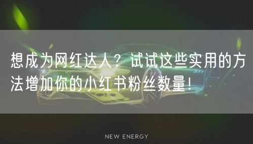 想成为网红达人？试试这些实用的方法增加你的小红书粉丝数量！