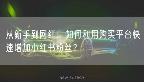 从新手到网红：如何利用购买平台快速增加小红书粉丝？