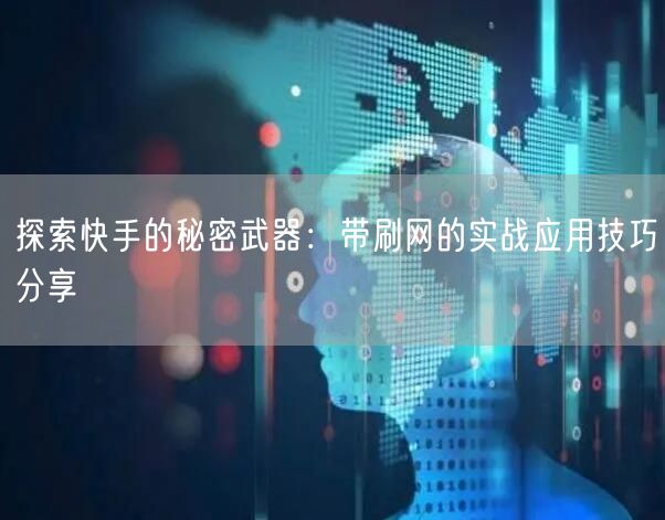探索快手的秘密武器：带刷网的实战应用技巧分享