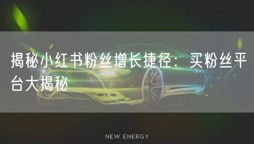 揭秘小红书粉丝增长捷径:买粉丝平台大揭秘