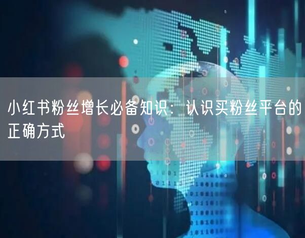 小红书粉丝增长必备知识:认识买粉丝平台的正确方式