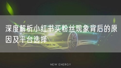 深度解析小红书买粉丝现象背后的原因及平台选择