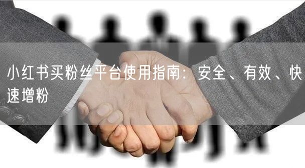 小红书买粉丝平台使用指南:安全、有效、快速增粉