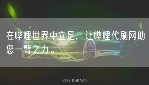 在哔哩世界中立足，让哔哩代刷网助您一臂之力。