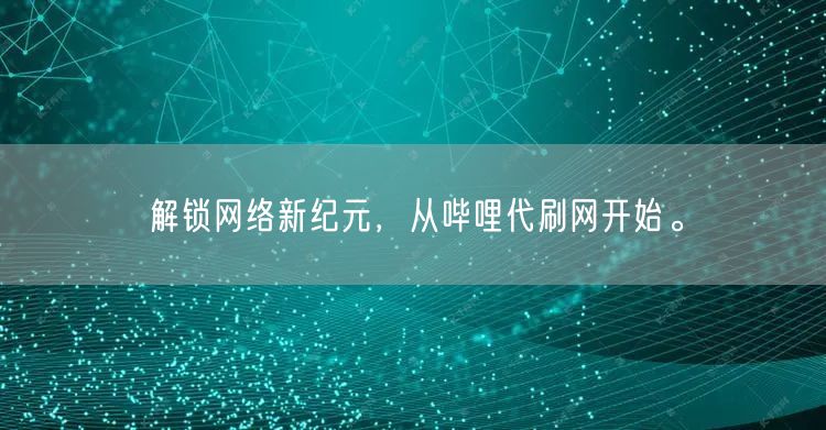 解锁网络新纪元，从哔哩代刷网开始。