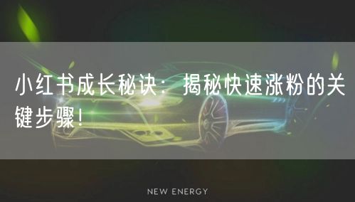 小红书成长秘诀：揭秘快速涨粉的关键步骤！