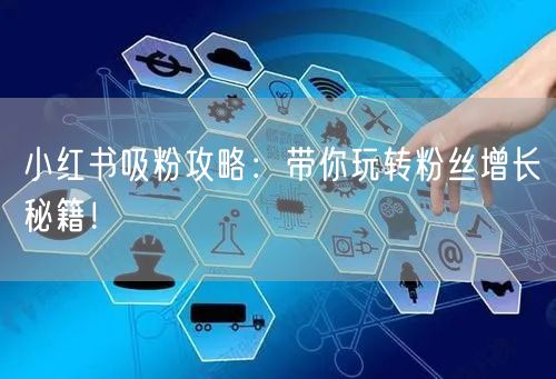 小红书吸粉攻略：带你玩转粉丝增长秘籍！