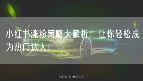 小红书涨粉策略大解析：让你轻松成为热门达人！