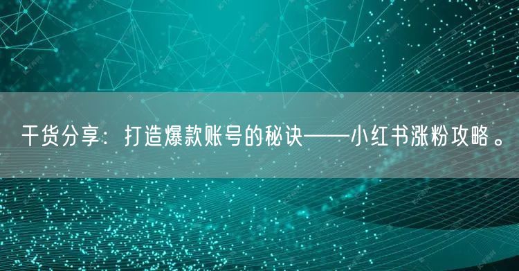 干货分享：打造爆款账号的秘诀——小红书涨粉攻略。