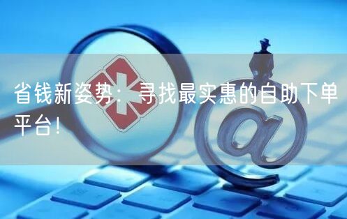 省钱新姿势：寻找最实惠的自助下单平台！