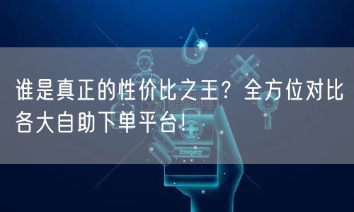 谁是真正的性价比之王？全方位对比各大自助下单平台！