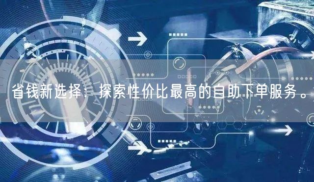 省钱新选择：探索性价比最高的自助下单服务。