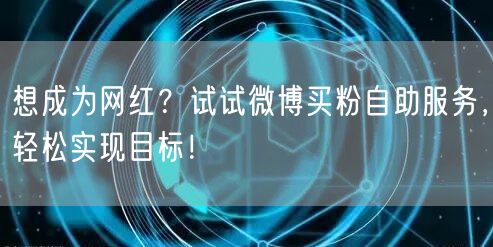 想成为网红？试试微博买粉自助服务，轻松实现目标！