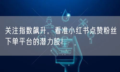 关注指数飙升，看准小红书点赞粉丝下单平台的潜力股！