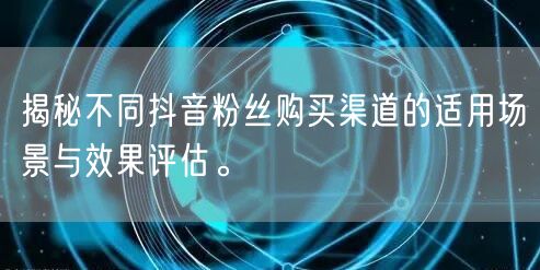 揭秘不同抖音粉丝购买渠道的适用场景与效果评估。