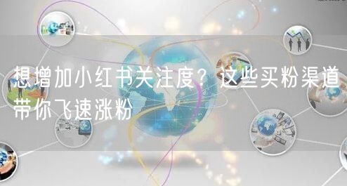 想增加小红书关注度?这些买粉渠道带你飞速涨粉